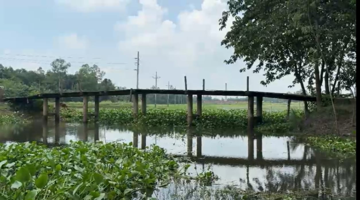 দিনাজপুরের ঘোড়াঘাটে একটি ব্রীজের অভাবে লক্ষাধিক মানুষের ভোগান্তি, ঝুঁকি নিয়ে চলাচল করছে পথচারীরা