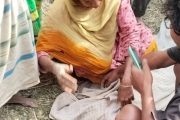বীরগঞ্জে ট্রাকচাপায় শিক্ষার্থী শিশুর মৃত্যু, চালক আটক