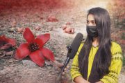 রেলপথের ধারে শিমুলে রাঙা উল্লাপাড়া