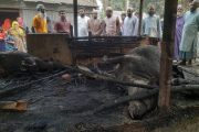 সাঘাটায় গোয়াল ঘরে বৈদ্যুতিক শর্ট সার্কিটে আগুন লাগিয়ে ৪ লক্ষাধিক টাকার ক্ষতি