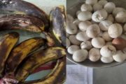 স্বাস্থ্যঝুঁকিতে শিক্ষার্থীরা বাকেরগঞ্জে প্রাথমিক বিদ্যালয়ে টিফিনে পঁচা-বাশি খাবার