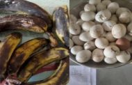 স্বাস্থ্যঝুঁকিতে শিক্ষার্থীরা বাকেরগঞ্জে প্রাথমিক বিদ্যালয়ে টিফিনে পঁচা-বাশি খাবার