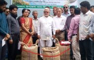 কাহারোলে বোরো মৌসুমের ধান-চাল সংগ্রহ অভিযানের উদ্বোধন