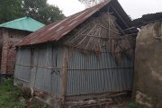 বীরগঞ্জে ভাইয়ের বিরুদ্ধে ভাইয়ের পাল্টাপাল্টি মামলা, অসহায় বৃদ্ধ বাবা