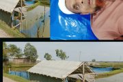 সিনিয়র সহকারী জজ আদালত শ্যামনগরের আদেশ অমান্য করে জায়গা দখলের অভিযোগ