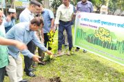 বাকেরগঞ্জে প্রধানমন্ত্রী ঘোষিত ২৫ কোটি বৃক্ষ রোপণ কর্মসূচির উদ্বোধন