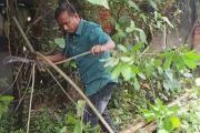বাকেরগঞ্জে পরিচ্ছন্নতা অভিযানে প্রশংসিত বিএনপি নেতা ওবায়দুল ইসলাম মাহি