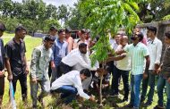 শ্যামনগরে স্বেচ্ছাসেবক দলের প্রতিষ্ঠাবার্ষিকীতে বৃক্ষরোপণ কর্মসূচি