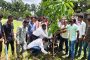 বাকেরগঞ্জে ডাকাতি মামলার সাজাপ্রাপ্ত আসামি ৩০ বছর পর গ্রেফতার