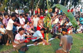 বীরগঞ্জে চোখ, হাত ও পা বেঁধে ঐতিহ্যবাহী পাতাখেলা