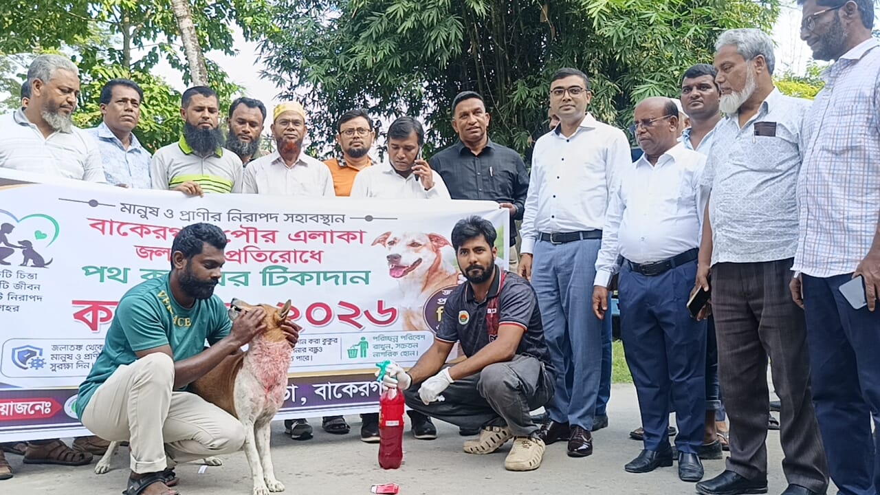 বাকেরগঞ্জে জলাতঙ্ক প্রতিরোধে পথ কুকুরকে টিকা প্রদান কর্মসূচি শুরু