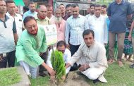 বেনাপোলে পরিচ্ছন্ন ও সবুজ গড়তে ৫০ হাজার বৃক্ষরোপণের উদ্যোগ, ৩ মাসে ১০ হাজার বৃক্ষরোপণ