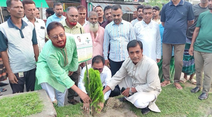 বেনাপোলে পরিচ্ছন্ন ও সবুজ গড়তে ৫০ হাজার বৃক্ষরোপণের উদ্যোগ, ৩ মাসে ১০ হাজার বৃক্ষরোপণ