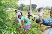 দুর্ঘটনা ঠেকাতে বীরগঞ্জে মহাসড়কের ঝোপঝাড় পরিষ্কার
