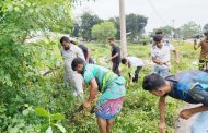 দুর্ঘটনা ঠেকাতে বীরগঞ্জে মহাসড়কের ঝোপঝাড় পরিষ্কার