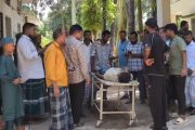 বাকেরগঞ্জে গাছ থেকে পড়ে এক জনের মৃত্যু