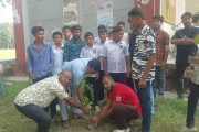 শ্যামনগরে ছাত্রদলের উদ্যোগে বৃক্ষরোপণ কর্মসূচি
