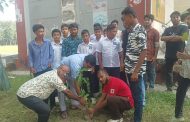 শ্যামনগরে ছাত্রদলের উদ্যোগে বৃক্ষরোপণ কর্মসূচি