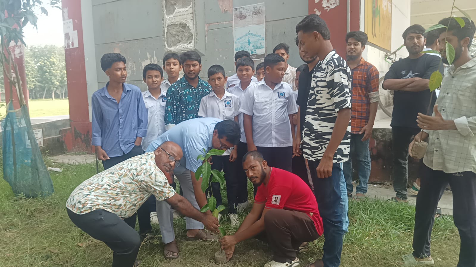 শ্যামনগরে ছাত্রদলের উদ্যোগে বৃক্ষরোপণ কর্মসূচি