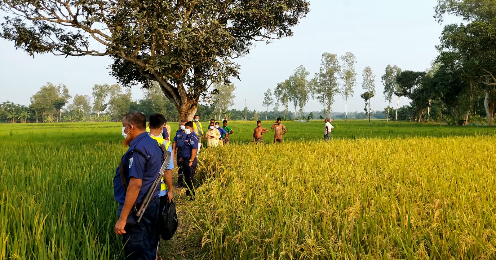 বীরগঞ্জে ধানক্ষেত থেকে কিশোরের অর্ধগলিত মরদেহ উদ্ধার
