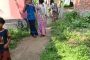 বীরগঞ্জ মডেল প্রেসক্লাবের উদ্যোগে বৃক্ষরোপণ কর্মসূচি ও চারা বিতরণ
